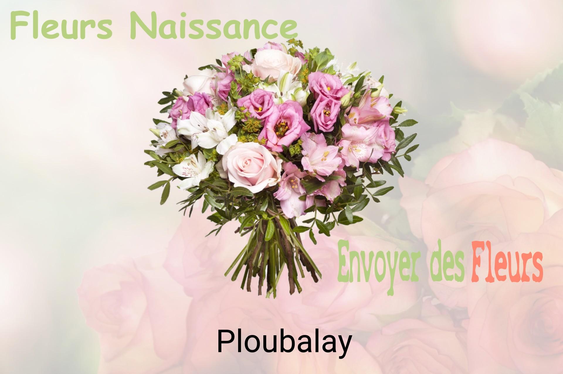 Bouquet de fleurs de naissance livré à Ploubalay